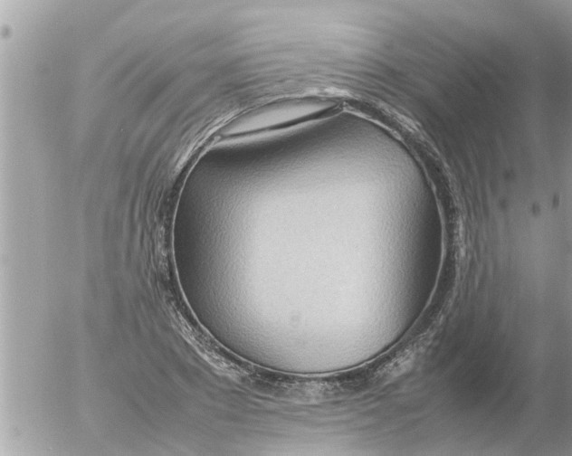 X0000054430881200508262345