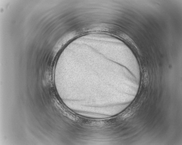 X0000054430882200508262345