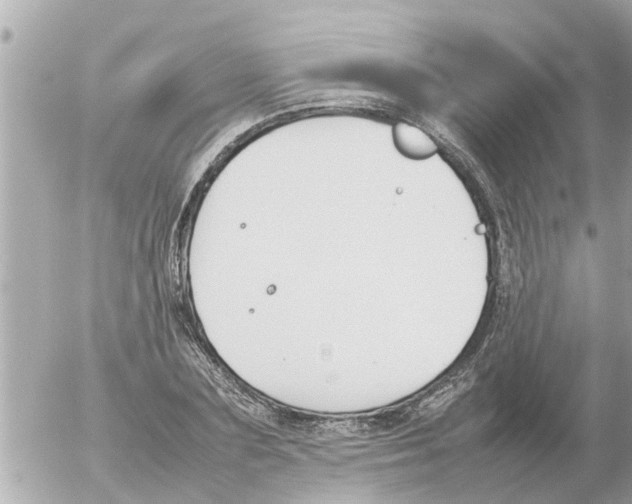 X0000054430883200508262345