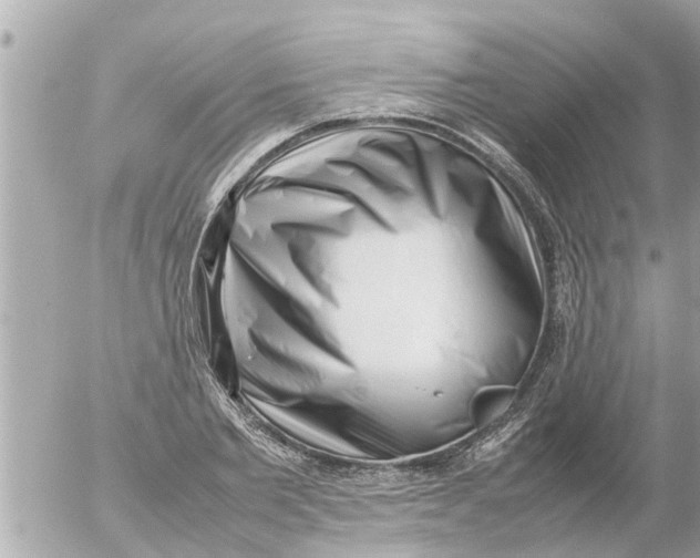 X0000054430885200508262344