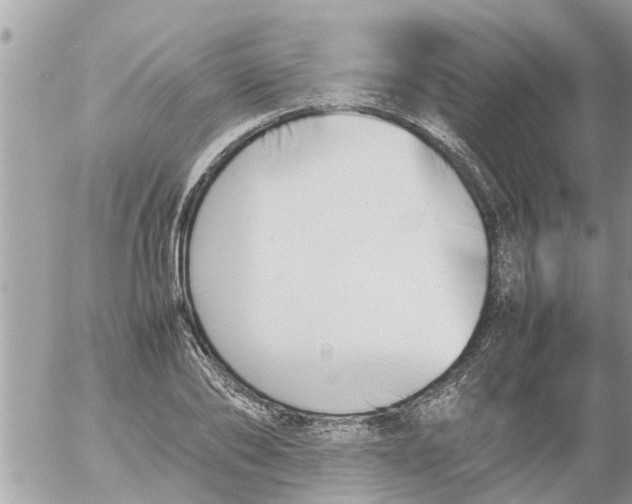 X0000054430886200508262344