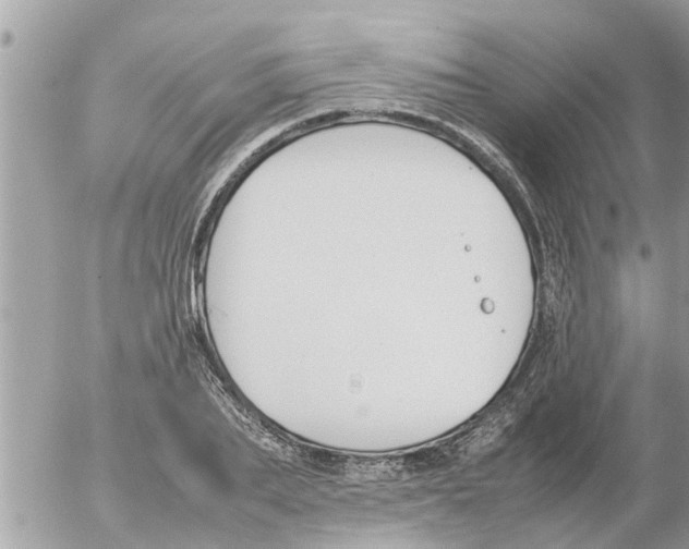 X0000054430887200508262344