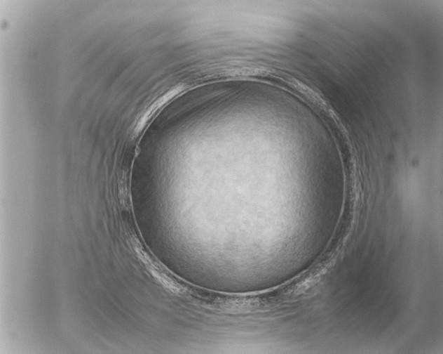 X0000054430889200508262344