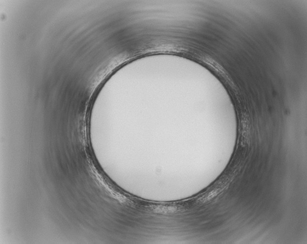 X0000054430890200508262344