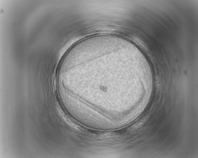 X0000054430891200508262344