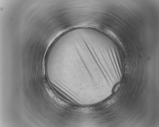 X0000054430892200508262344