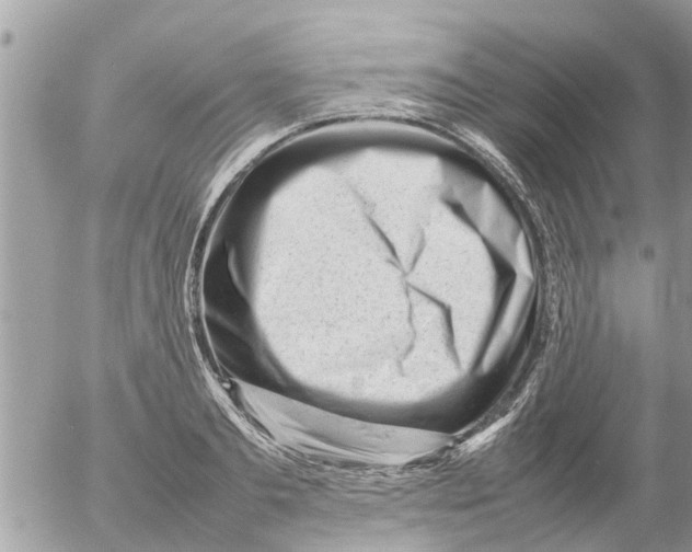 X0000054430893200508262344