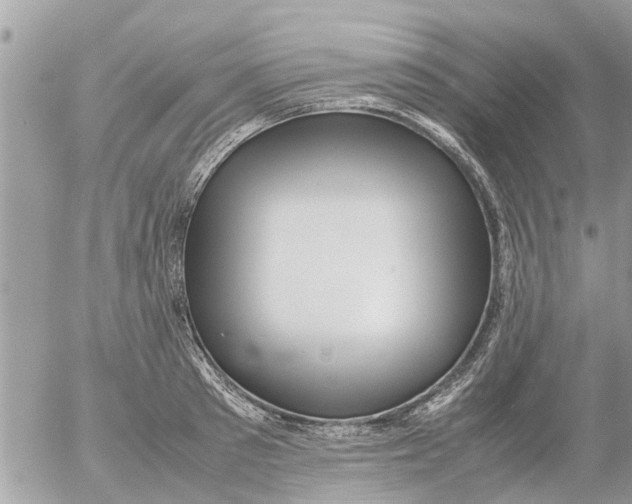 X0000054430897200508262344