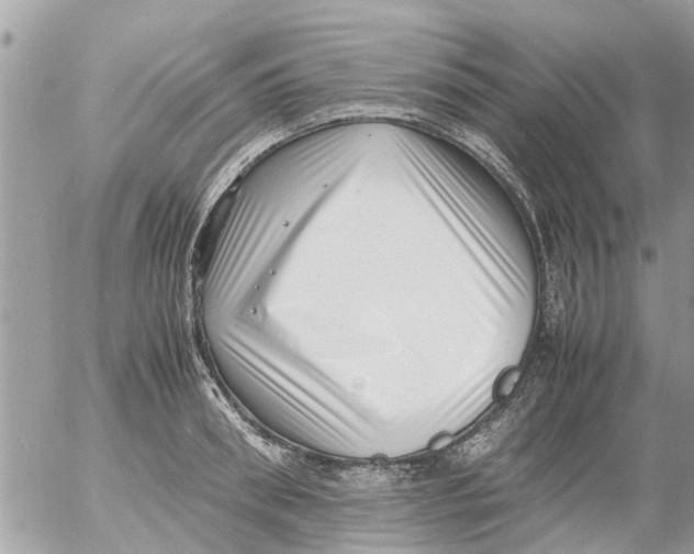 X0000054430898200508262344