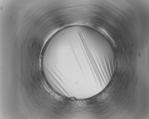 X0000054430900200508262344