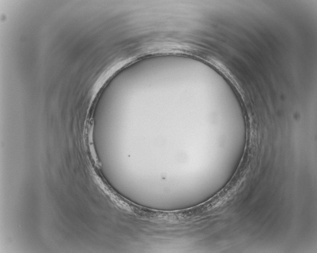 X0000054430901200508262344