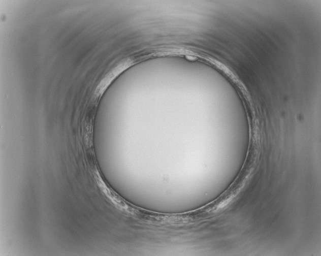 X0000054430905200508262344