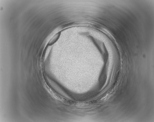 X0000054430907200508262344