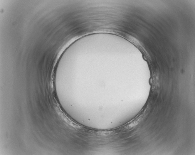 X0000054430908200508262344