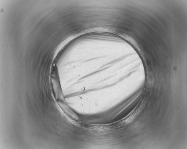 X0000054430910200508262344