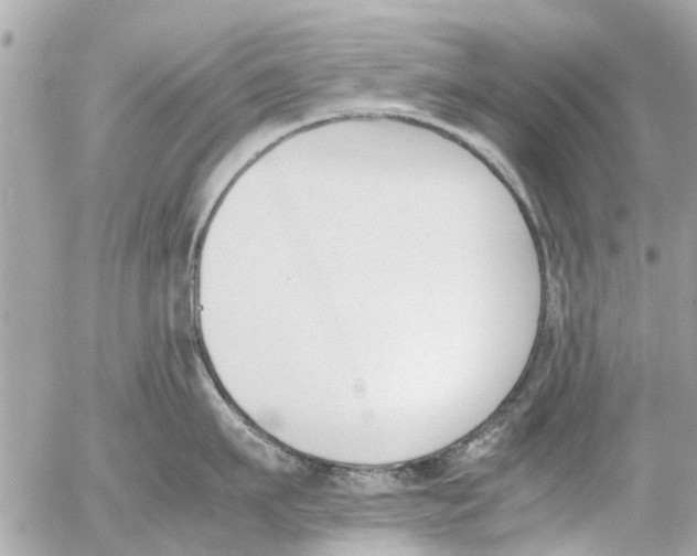 X0000054430911200508262344