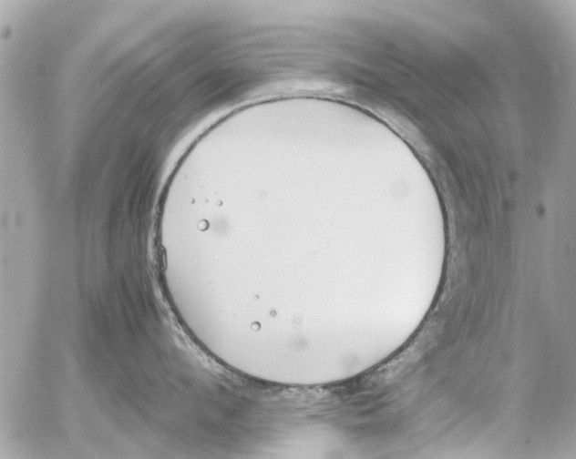 X0000054430912200508262344