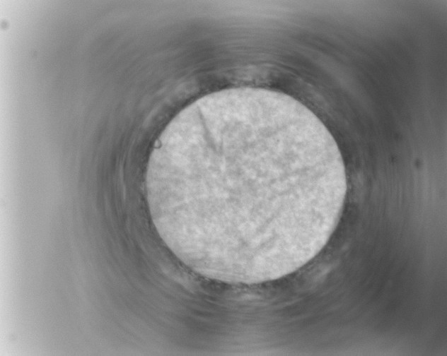 X0000054430913200508262343