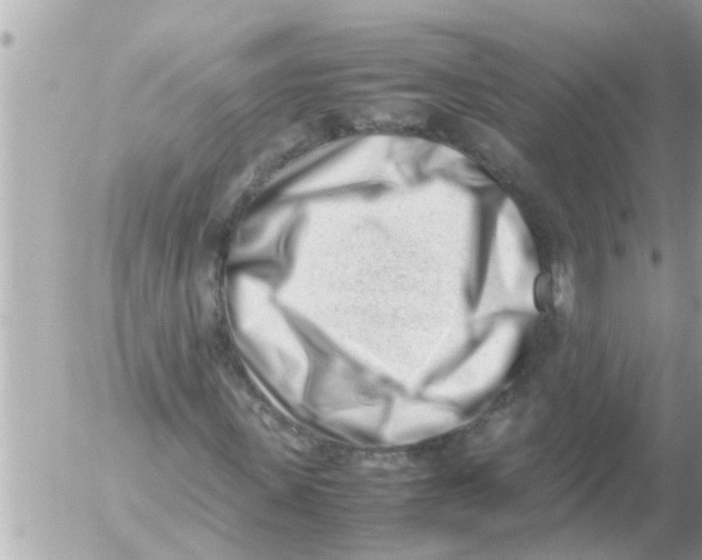 X0000054430915200508262343