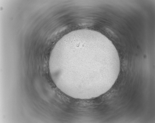 X0000054430917200508262343