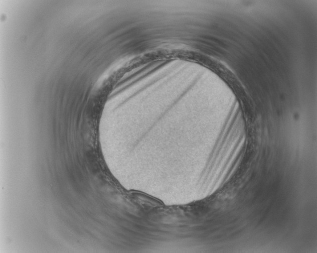 X0000054430919200508262343