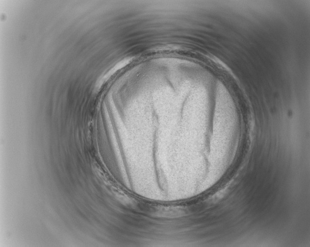 X0000054430921200508262343