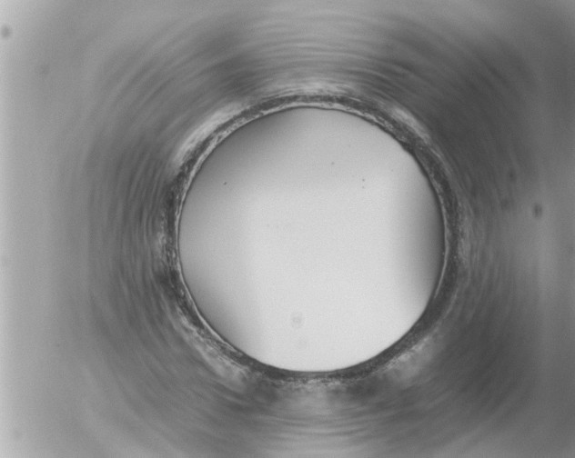 X0000054430922200508262343