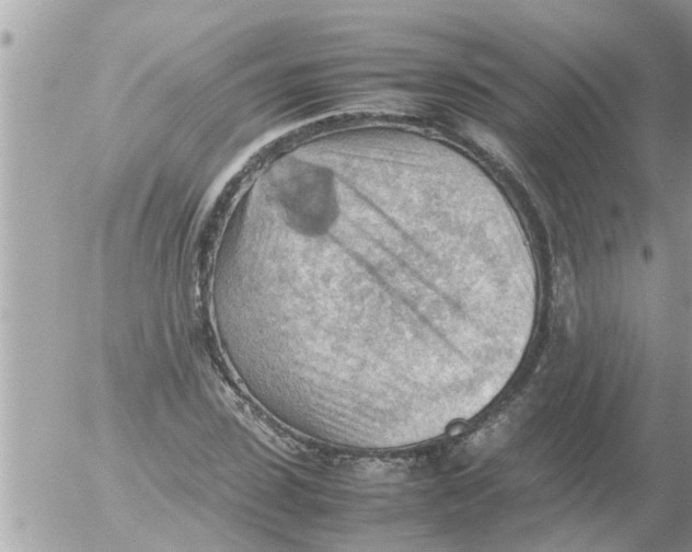 X0000054430923200508262343