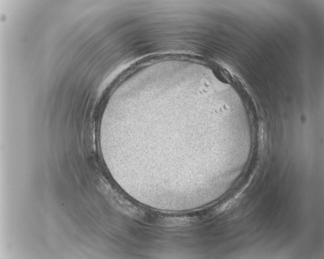 X0000054430925200508262343