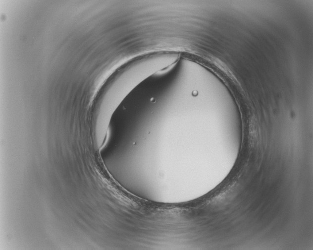 X0000054430926200508262343