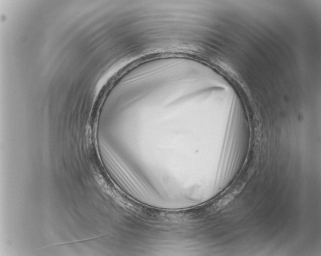 X0000054430928200508262343