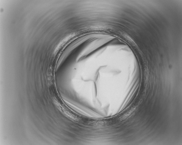 X0000054430930200508262344