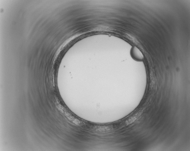 X0000054430931200508262344