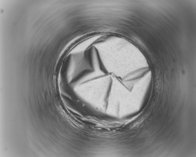 X0000054430932200508262344