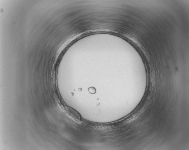 X0000054430933200508262344