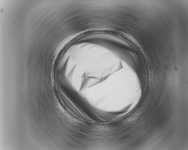 X0000054430935200508262344