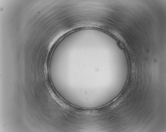 X0000054430936200508262344