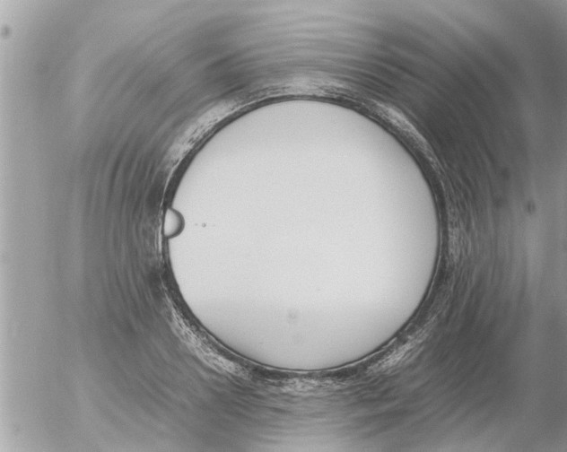 X0000054430938200508262344