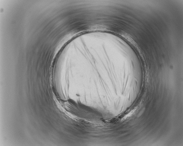 X0000054430941200508262344