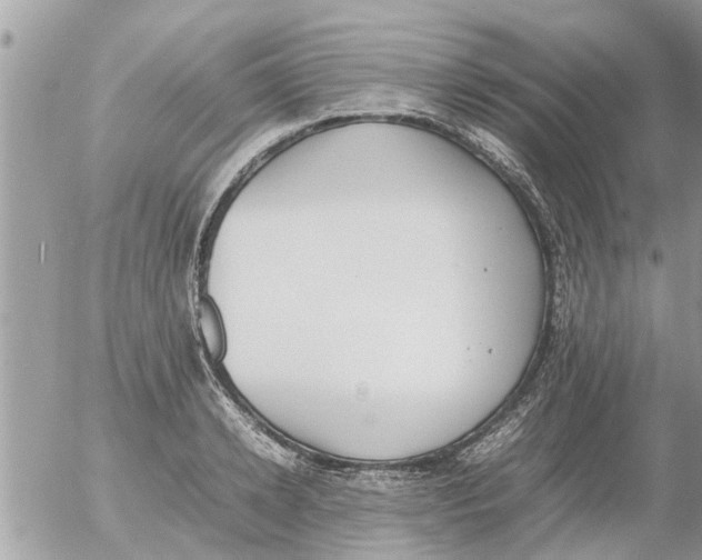 X0000054430942200508262344