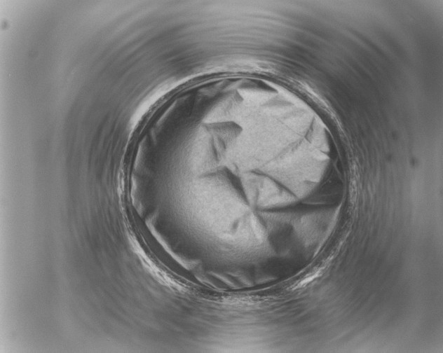 X0000054430944200508262344