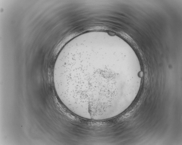 X0000054430945200508262344