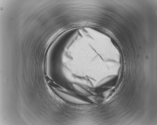 X0000054430946200508262344