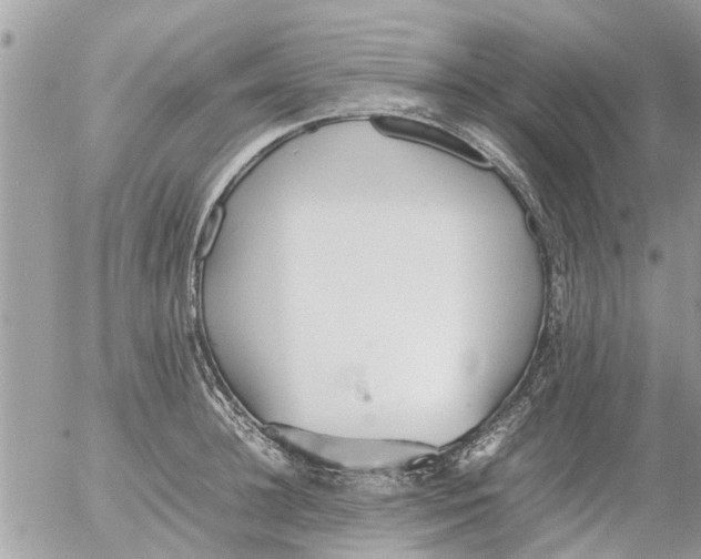 X0000054430948200508262344