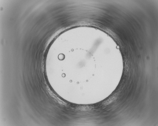 X0000054430950200508262344