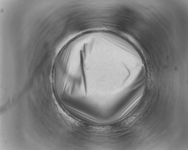 X0000054430951200508262344