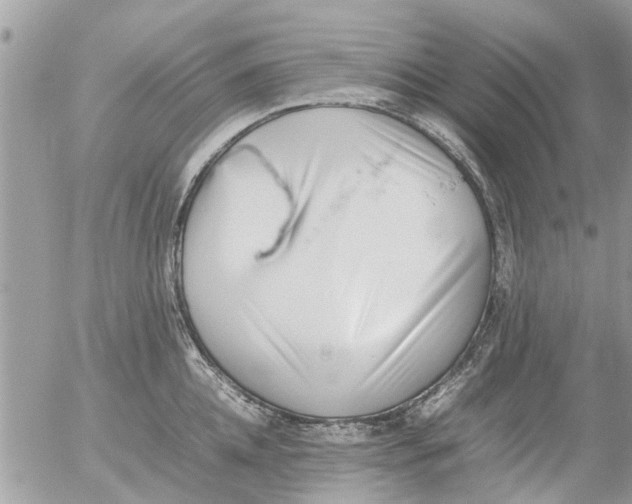 X0000054430952200508262344