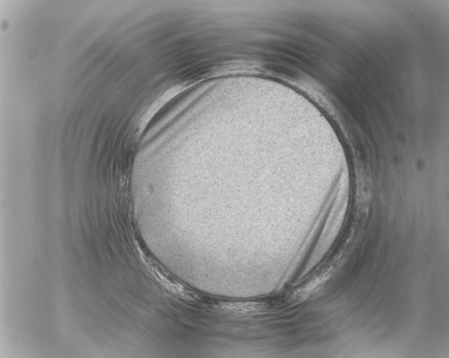 X0000054430953200508262344