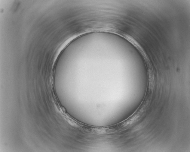 X0000054430956200508262344