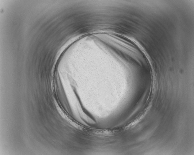 X0000054430957200508262344